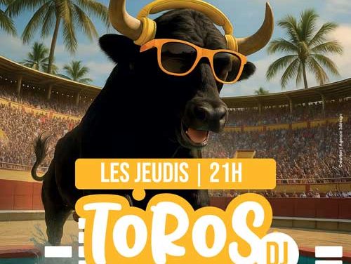 Arènes du Cap : Toros Piscine DJ