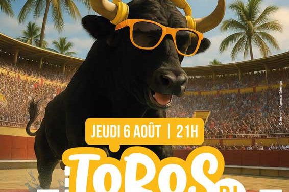 TORO PISCINE DJ