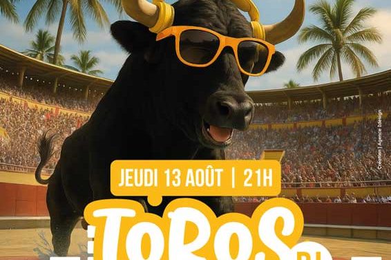 TORO PISCINE DJ