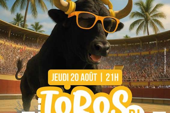 TORO PISCINE DJ