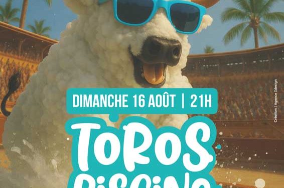 TORO PISCINE MOUSSE